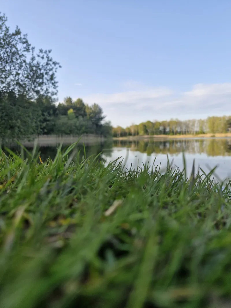 Carp Fishing