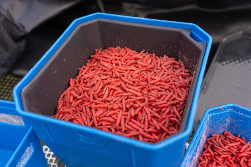 4Pt Bait Tub-11