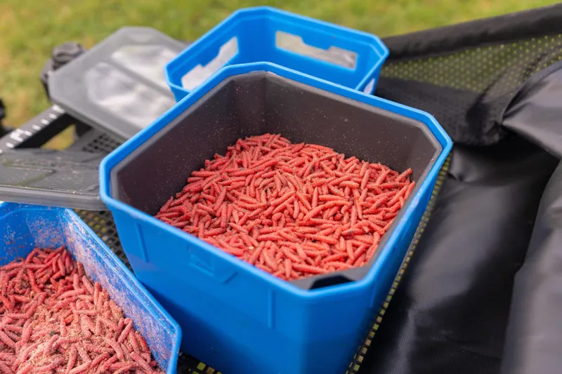 4Pt Bait Tub-4