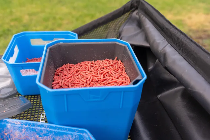 4Pt Bait Tub-9