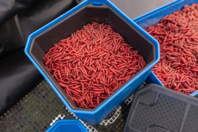 4Pt Bait Tub-1