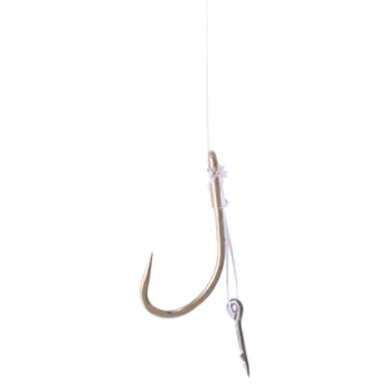 Plate Carp Method Spike