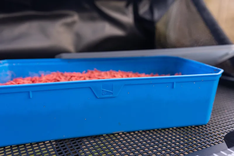 6Pt Bait Tub-2