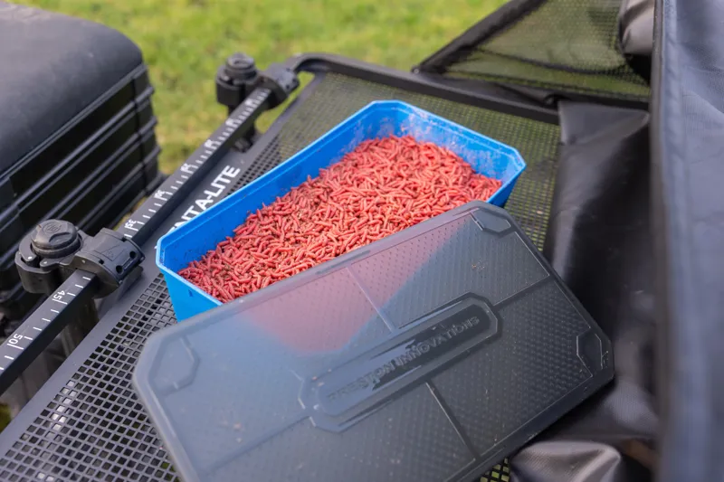 6Pt Bait Tub-3