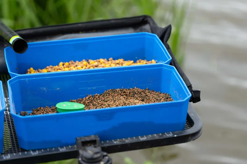 6Pt Bait Tub-4