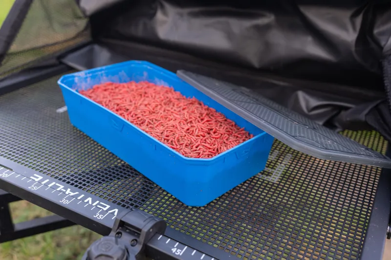6Pt Bait Tub-8