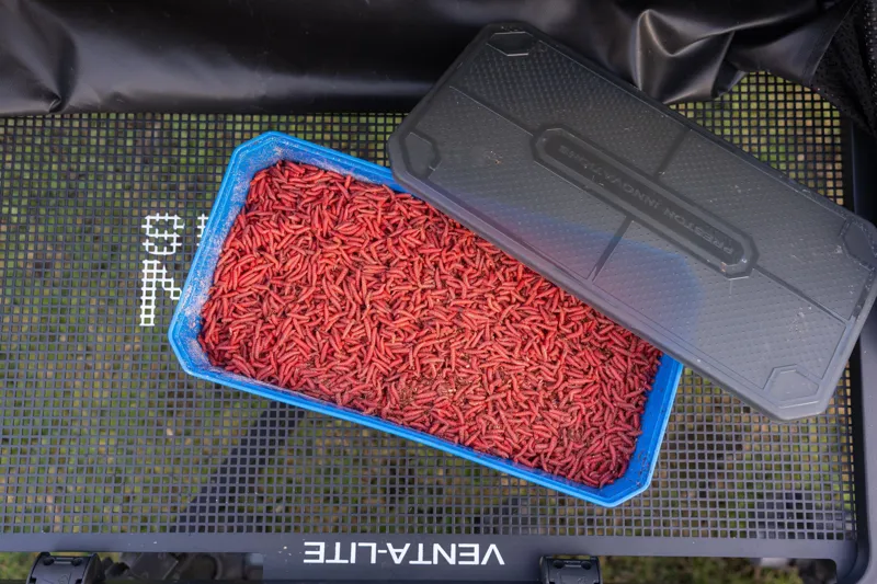 6Pt Bait Tub-1