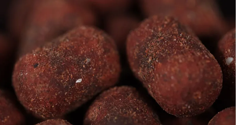 Bloodworm Dumbells-1
