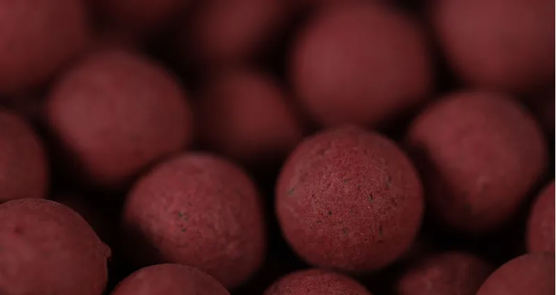 Bloodworm Pop-Ups-1