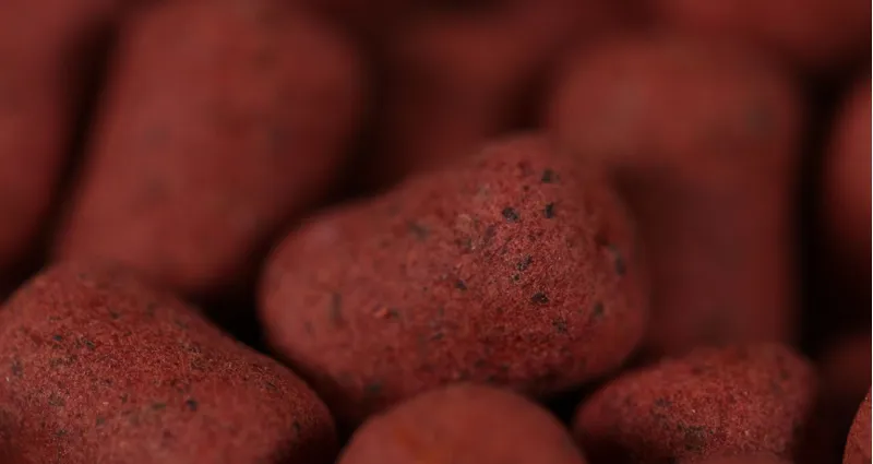 Bloodworm Wafters 130g Pot-1