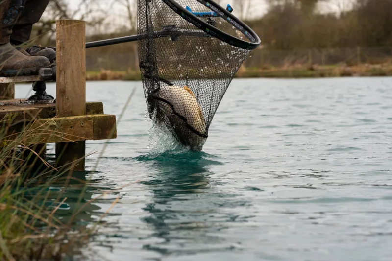 Carp XS Landing Nets-8