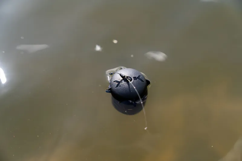 Floating Feeder-9