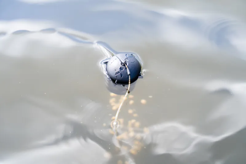 Floating Feeder-11