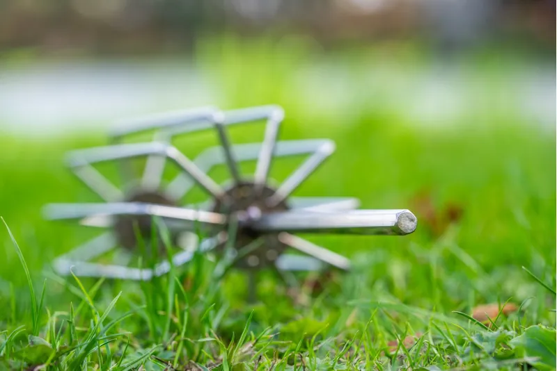 Ground Bait Whisk