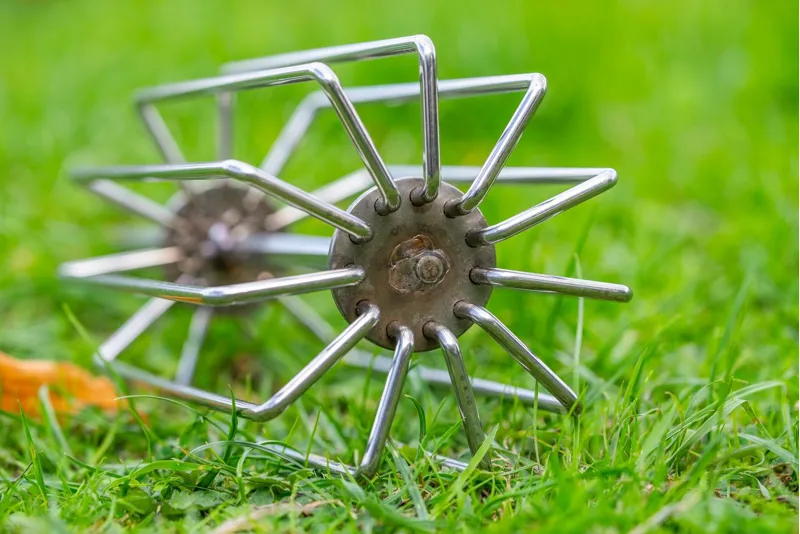 Ground Bait Whisk-1