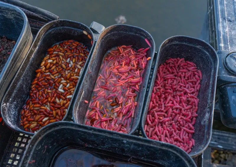 Guru 5.3 Pint Bait Box Solid Lid-1