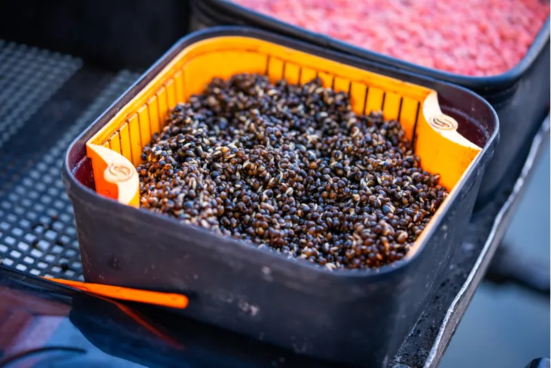 Guru 5.3 Pint Bait Box Solid Lid-1