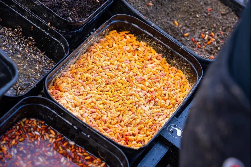 Guru 5.3 Pint Bait Box Solid Lid-2