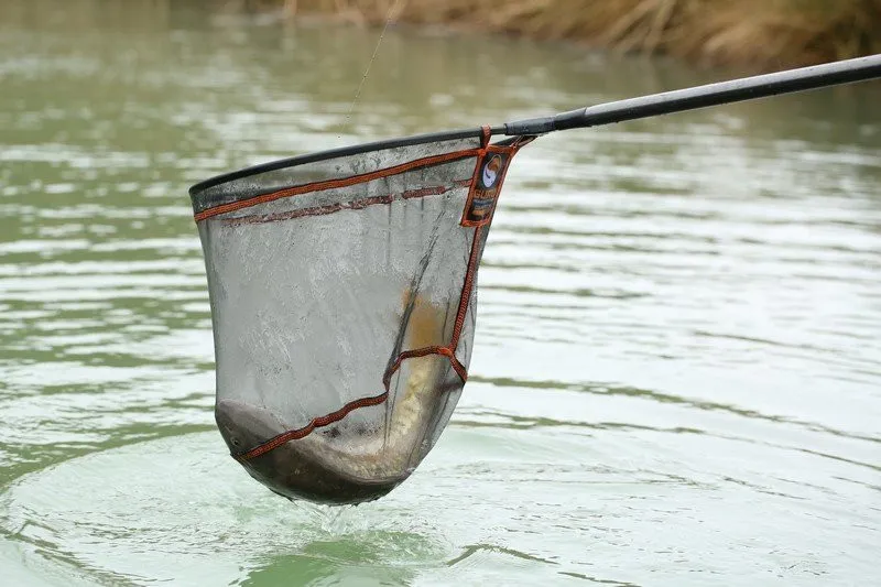 Guru Competition Landing Net-1