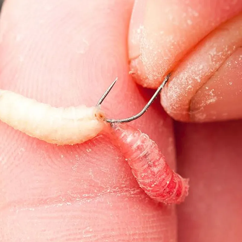 F1 Maggot Hook Rigs 6-8