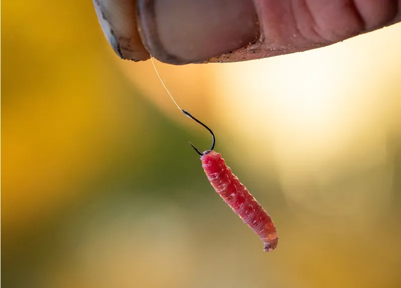 Match Special Rigs 8-6