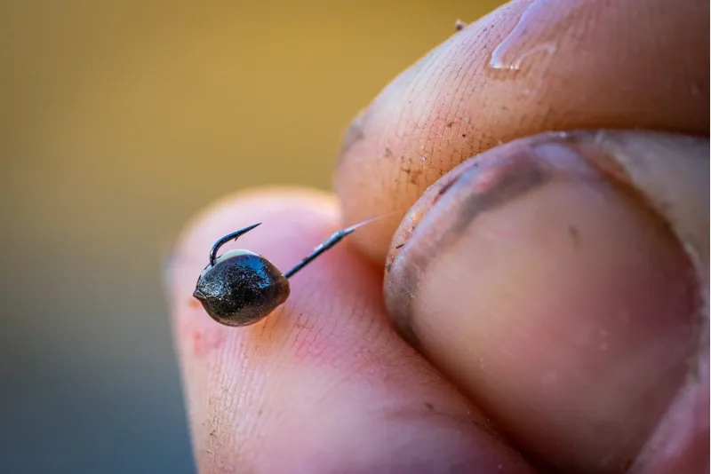 Match Special Rigs 8-7