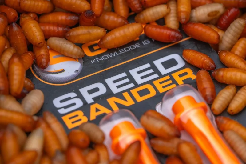 Guru Speed Bander-3
