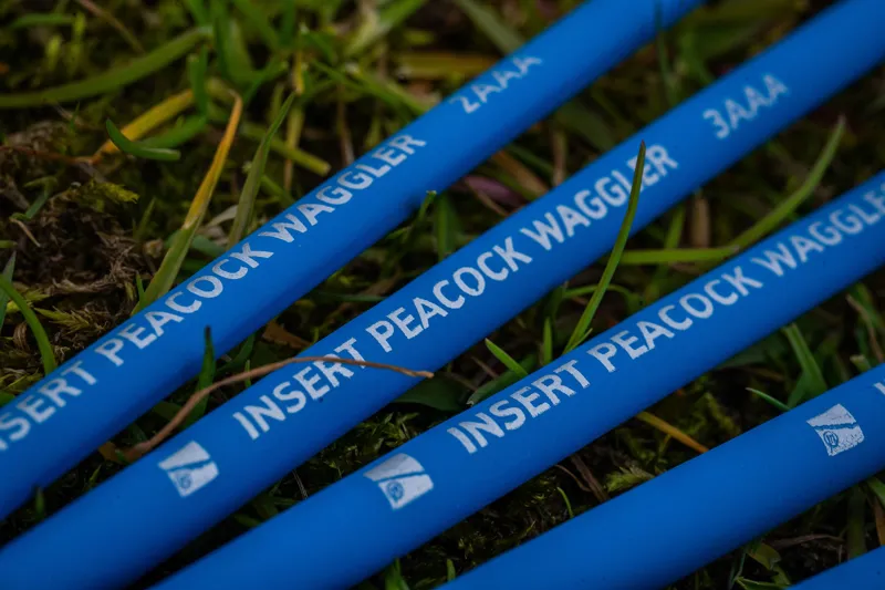 Insert Peacock Waggler-4
