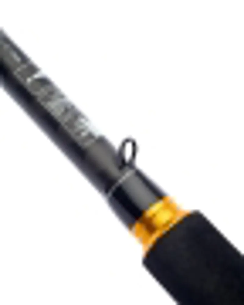 LEGALIS SEABASS-2