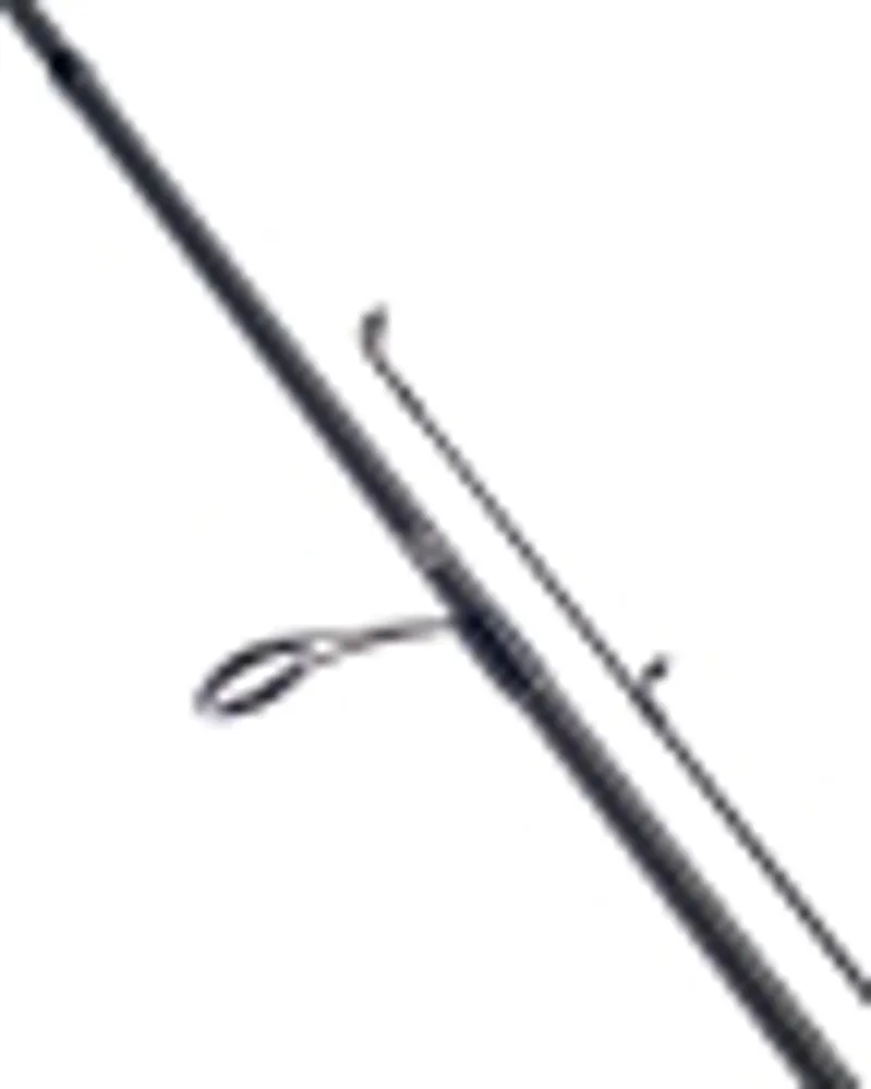LEGALIS SEABASS-5