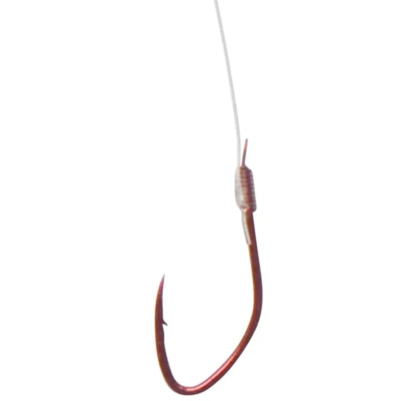 Maggot-1
