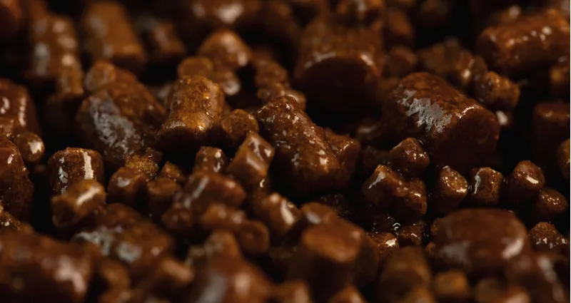 The Krill Pellets-1