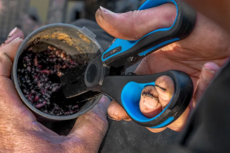 Worm Scissors-2